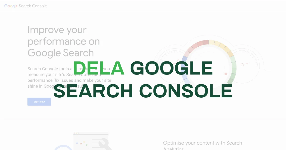 dela-google-search-console